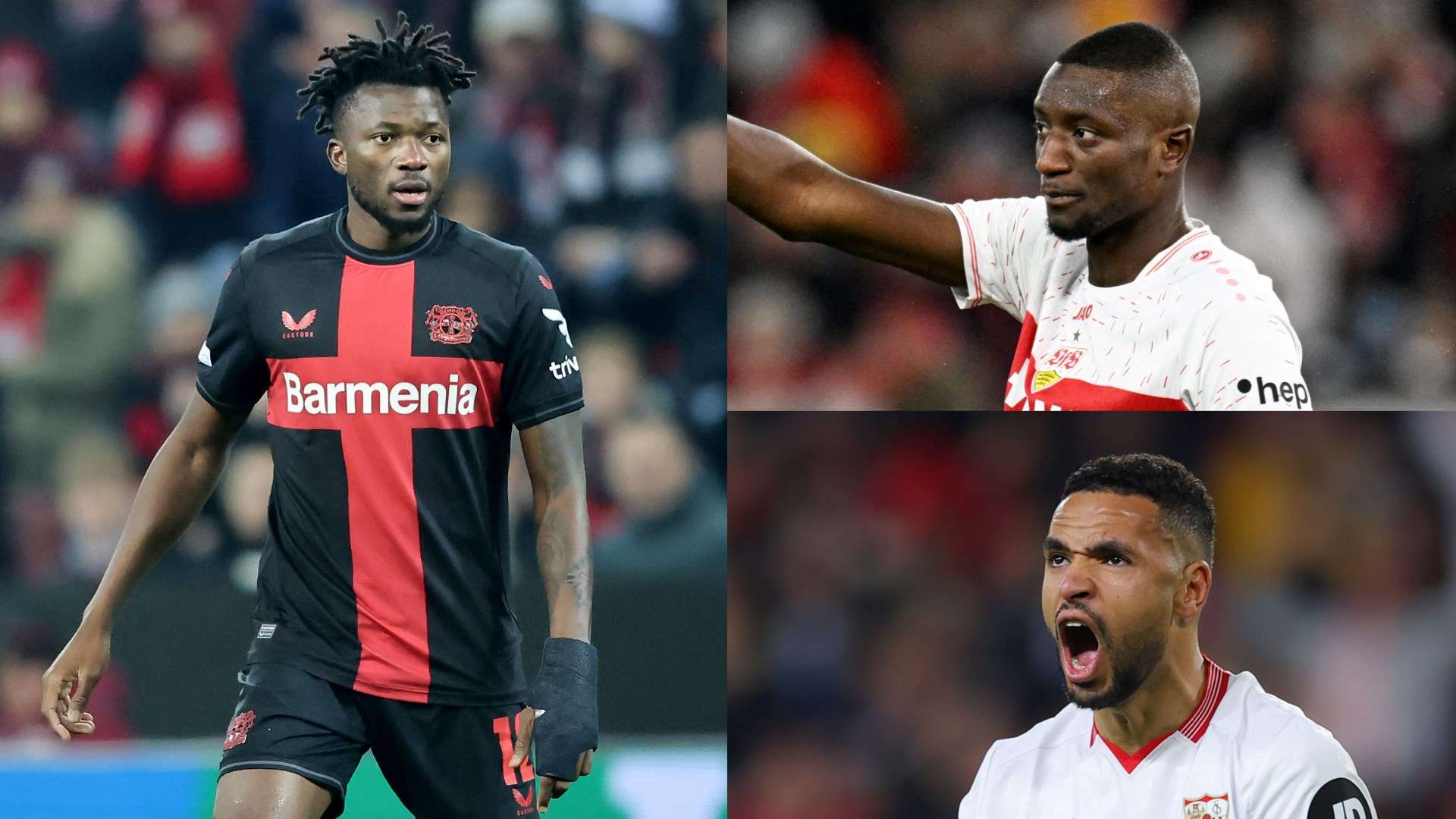 的排球热情 的排球热情