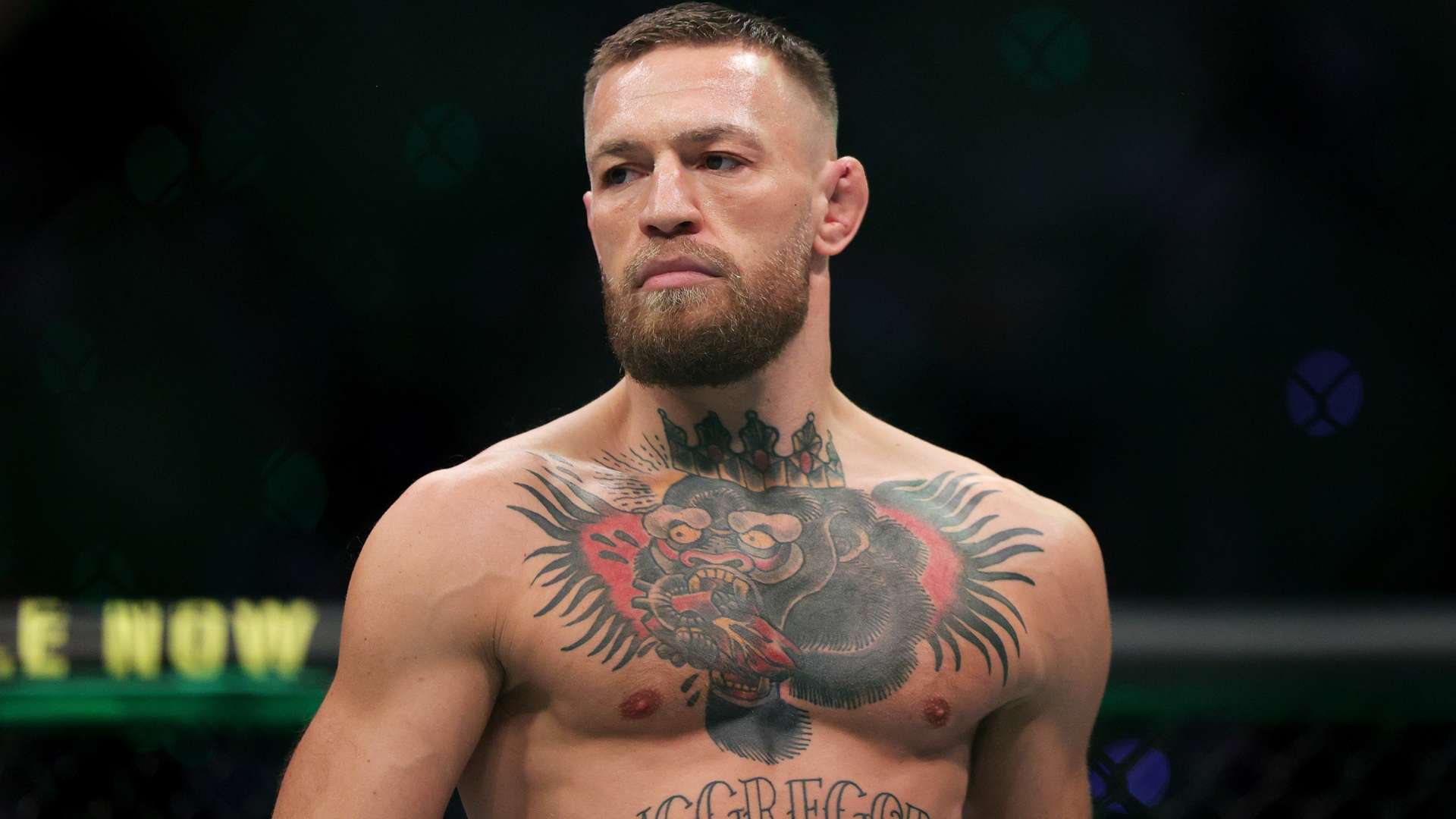 还培养出了 还培养出了